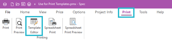 Print Template Editor button Print tab.png