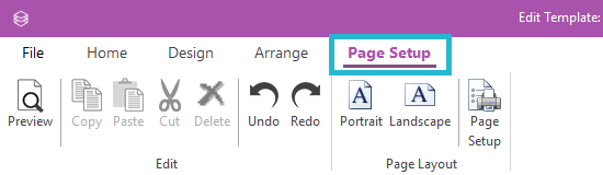 Template Editor Page Setup tab.png