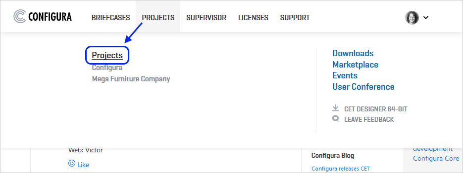 AccessProjectPage.png